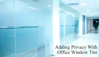 Adding Privacy with Window Office Tint