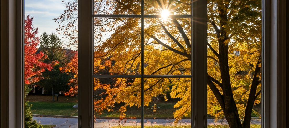 Home tint can reduce glare and improve comfort in your home.