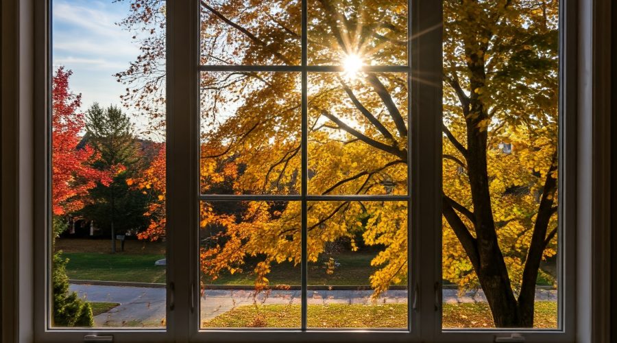 Home tint can reduce glare and improve comfort in your home.