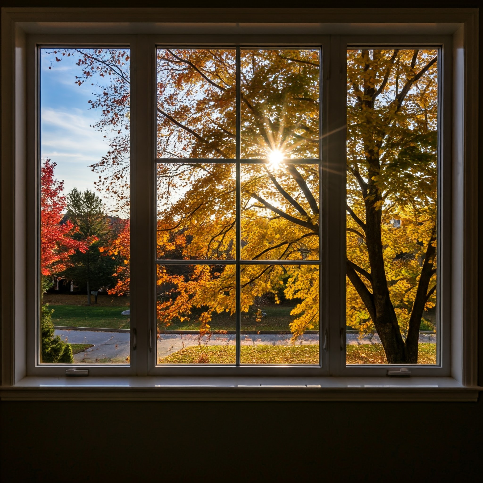 Home tint can reduce glare and improve comfort in your home.