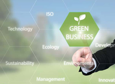 sustainability diagram for green businesses